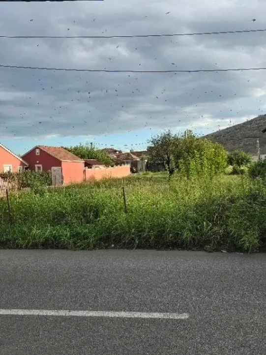 Prodaja, plac, 1235m², Tološi, Podgorica