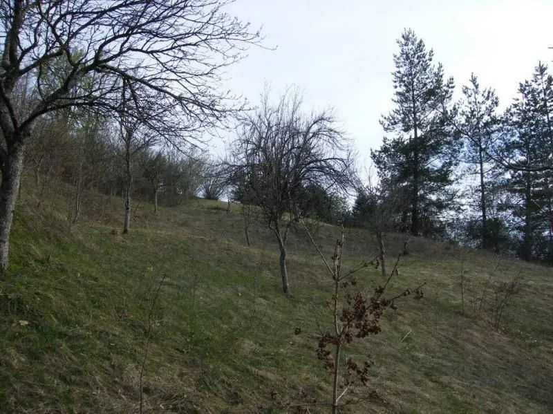Prodaja, plac, 23600m², Kolašin, Crna Gora