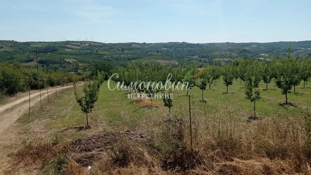 Prodaja, plac, 2500m², Begaljica, Grocka
