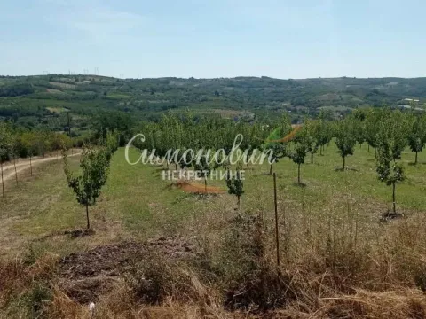 Sale, land lot, 2500m², Begaljica, Grocka - image 9