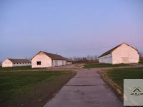 Prodaja, plac, 97900m², Vrbas, Novi Sad - image 2