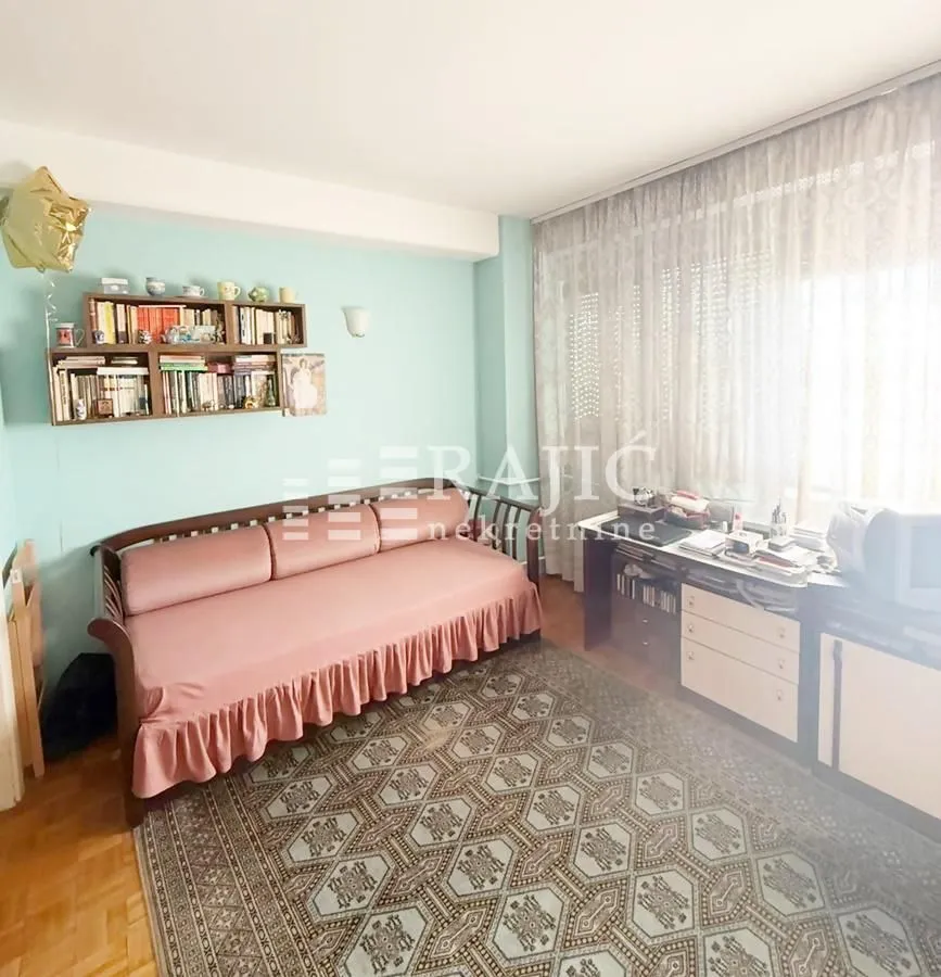 Living room with a sofa, rug, and bookshelf.