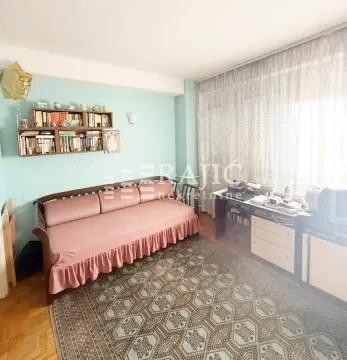 Living room with a sofa, rug, and bookshelf. - image 4