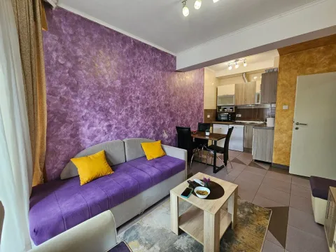 Living room with a purple feature wall and sofa, overlooking the dining area and kitchen in the background. - image 15