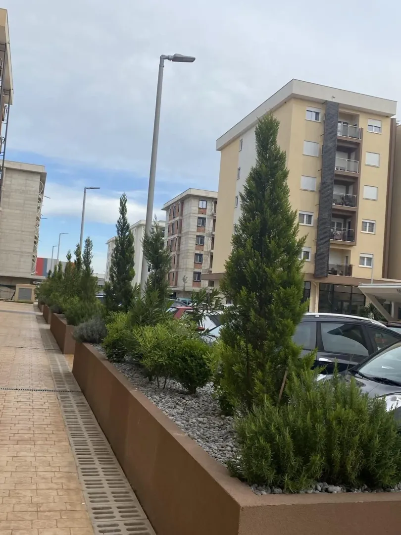 Uređeno dvorište stambenog kompleksa sa ukrasnim drvećem.