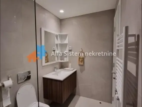 Izdavanje, dvosoban stan, 57m², Savski Venac, Beograd - image 11