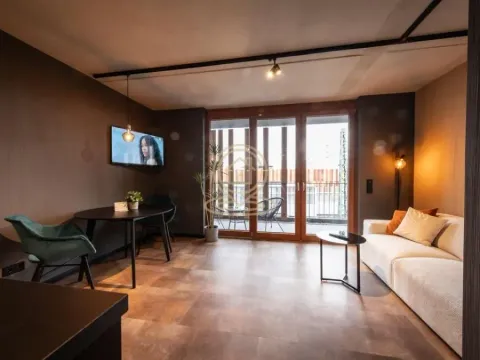 Izdavanje, jednosoban stan, 45m², Spens, Novi Sad Sve Podlokacije - image 5