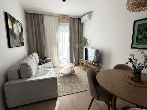 Izdavanje, jednosoban stan, 37m², Tološi, Podgorica - image 1