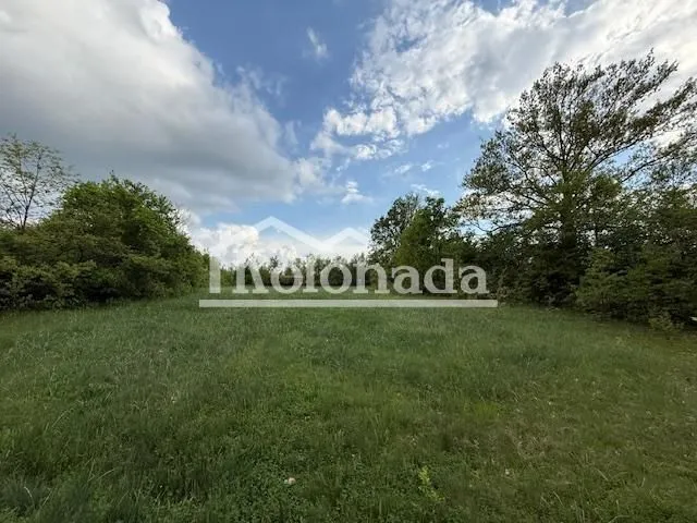Prodaja, plac, 5436m², Amerić, Mladenovac