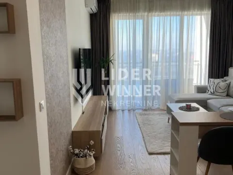 Izdavanje, dvosoban stan, 54m², Savski Venac, Beograd - image 4