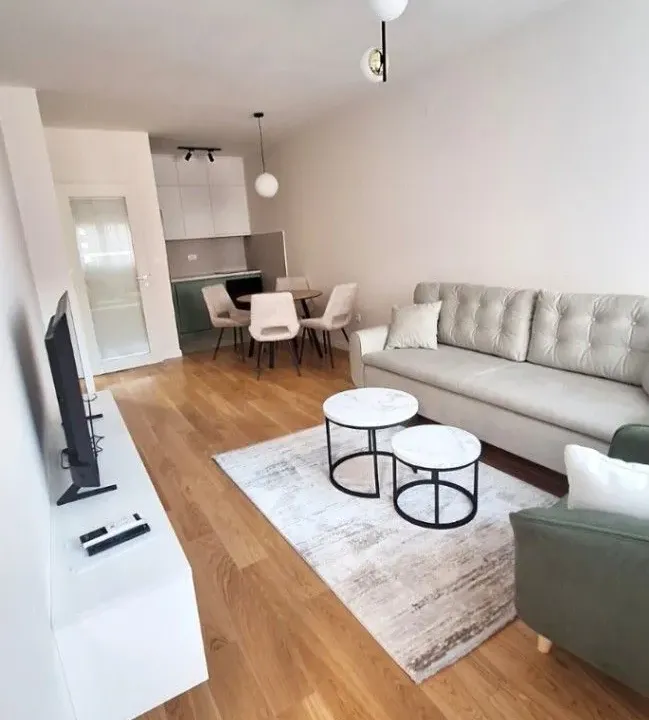 Izdavanje, jednosoban stan, 47m², Central Point, Podgorica
