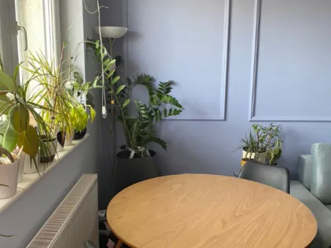 Prodaja, dvosoban stan, 40m², Adamovićevo Naselje, Novi Sad Sve Podlokacije - image 6