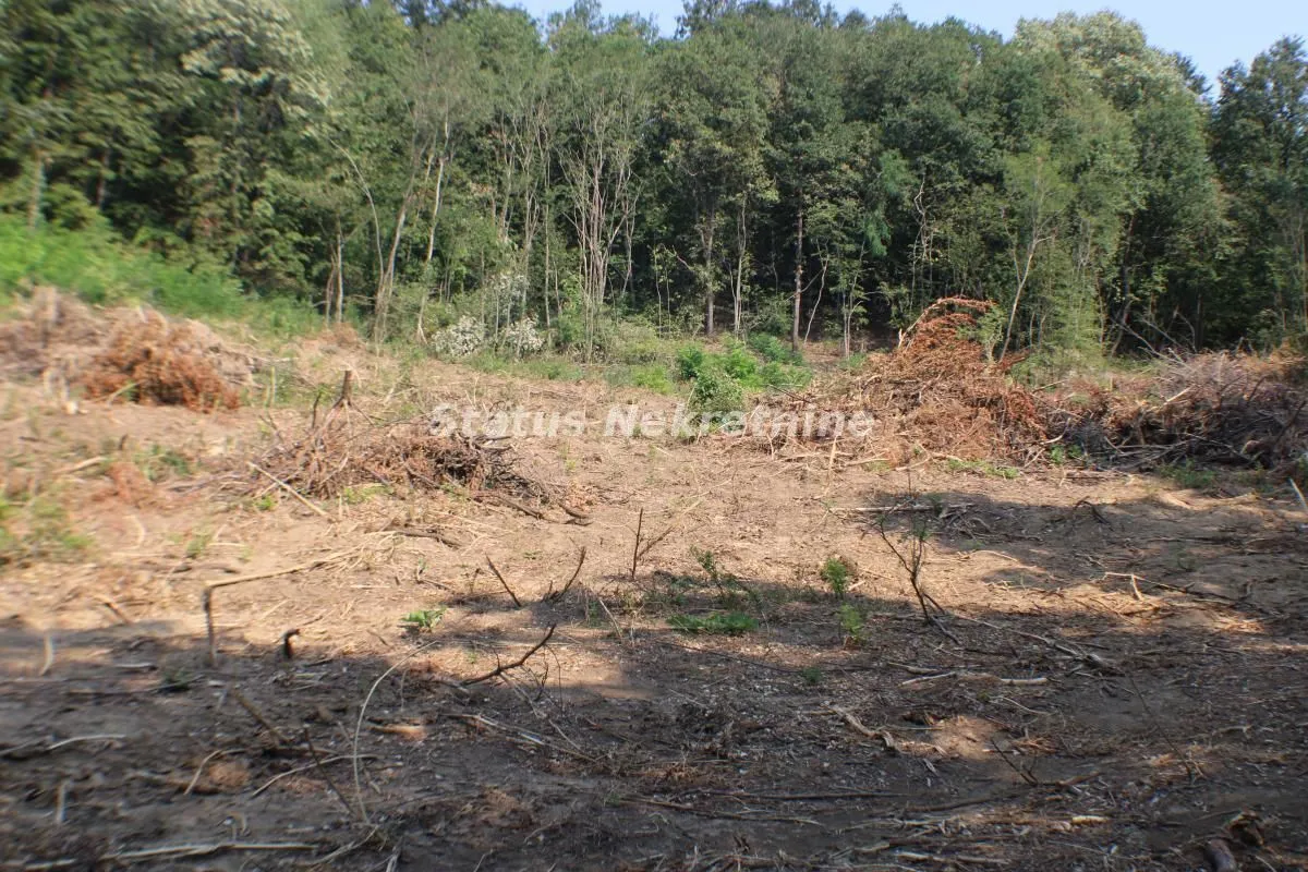 Prodaja, plac, 6531m², Beočin, Srbija