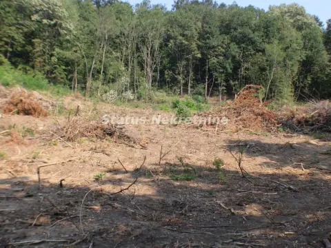 Prodaja, plac, 6500m², Beočin, Srbija - image 6