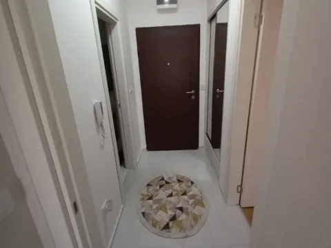 Izdavanje, jednosoban stan, 46m², Stari Aerodrom, Podgorica - image 4