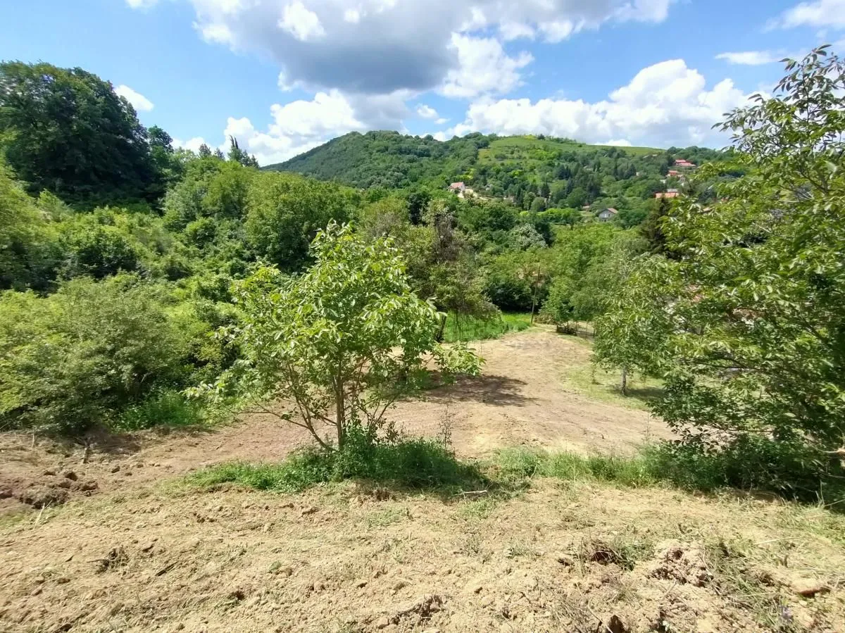 Prodaja, plac, 1500m², Rakovac, Novi Sad Sve Podlokacije