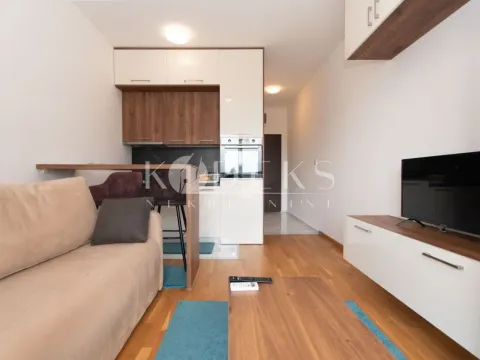 Izdavanje, garsonjera, 27m², Stari Aerodrom, Podgorica - image 1