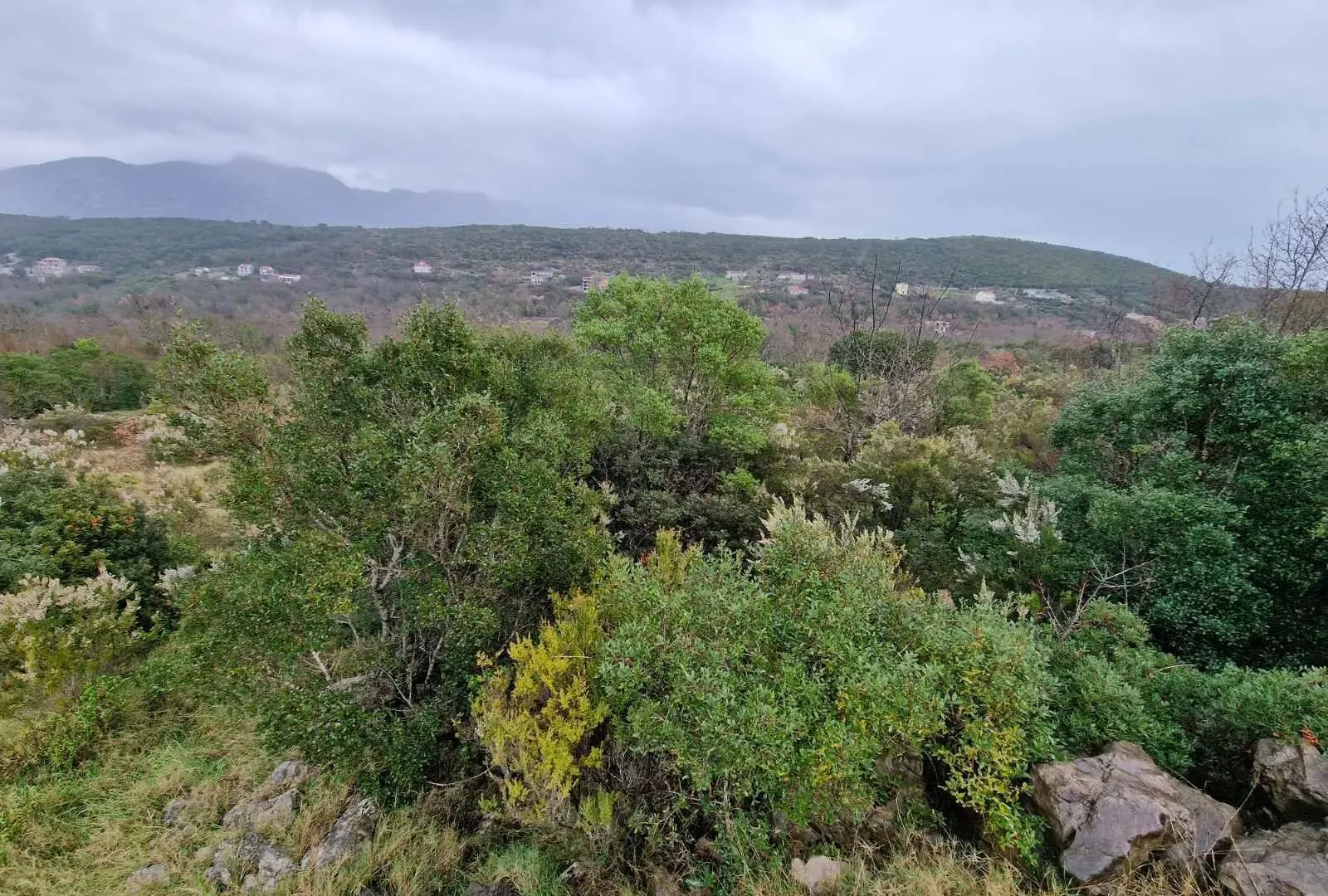 Sale, land lot, 1575m², Višnjevo, Kotor