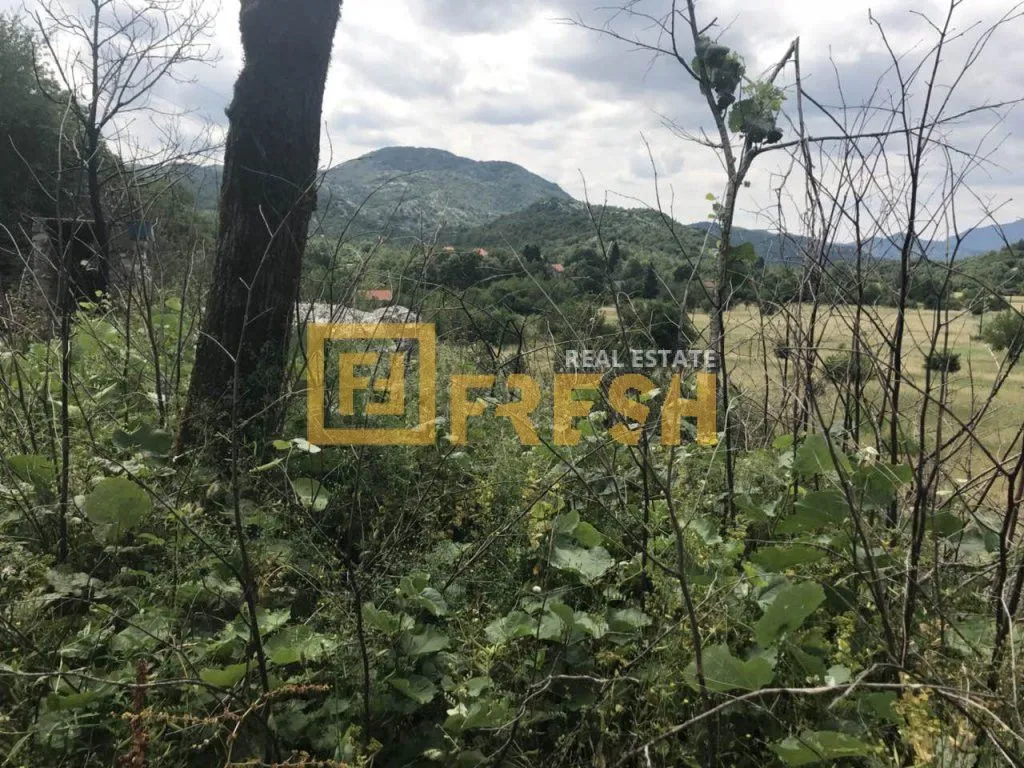 Prodaja, plac, 194723m², Cetinje, Crna Gora