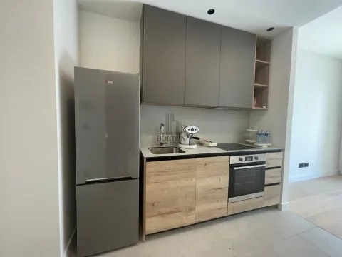 Rent, one bedroom apartment, 29m², Savski Venac, Beograd - image 4