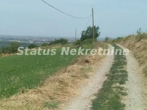 Prodaja, plac, 7600m², Ledinci, Petrovaradin - image 8
