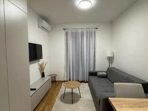 Izdavanje, garsonjera, 24m², Zabjelo, Podgorica - image 1