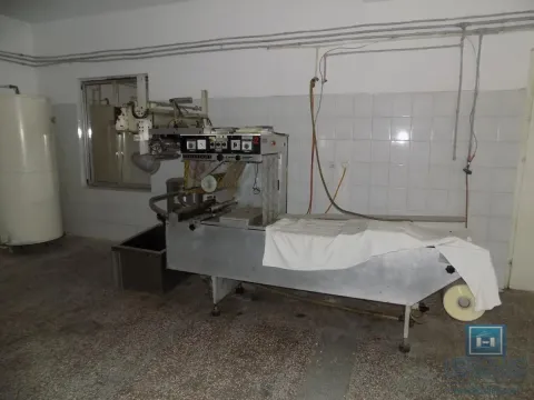 Izdavanje, poslovni prostor, 1500m², Donje Vidovo, Paraćin - image 35