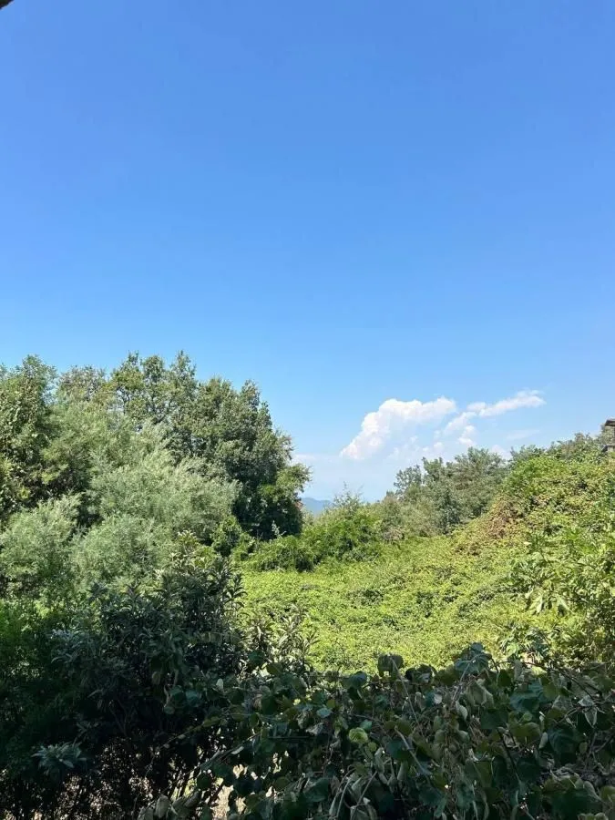 Sale, two bedroom apartment, 64m², Budva, Crna Gora