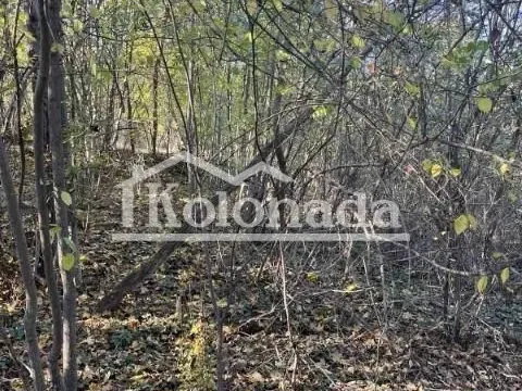 Sale, land lot, 8235m², Babe, Sopot - image 6