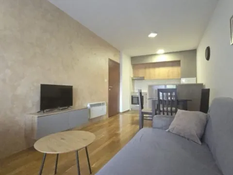 Prodaja, jednosoban stan, 48m², Zabjelo, Podgorica - image 4