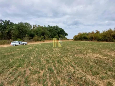 Prodaja, plac, 7500m², Banja Vrdnik, Irig - image 7