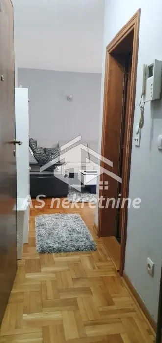 Izdavanje, dvosoban stan, 40m², Vračar Sve Podlokacije, Beograd