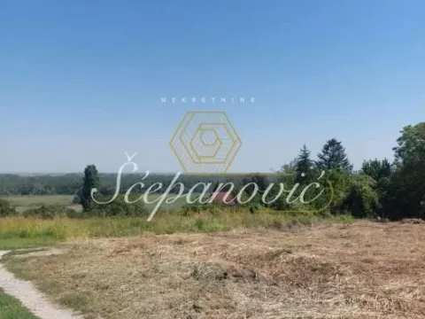 Prodaja, kuća, 360m², Petrovaradin, Novi Sad - image 8