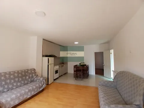 Izdavanje, kuća, 50m², Tabane, Jagodina - image 8