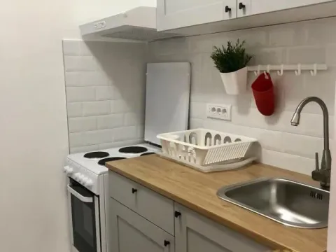 Rent, one bedroom apartment, 48m², Novi Beograd Sve Podlokacije, Beograd - image 6