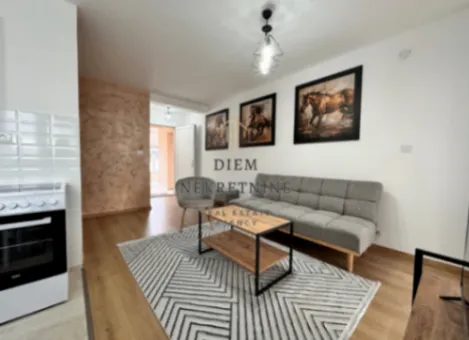 Izdavanje, jednosoban stan, 45m², Stari Aerodrom, Podgorica - image 1