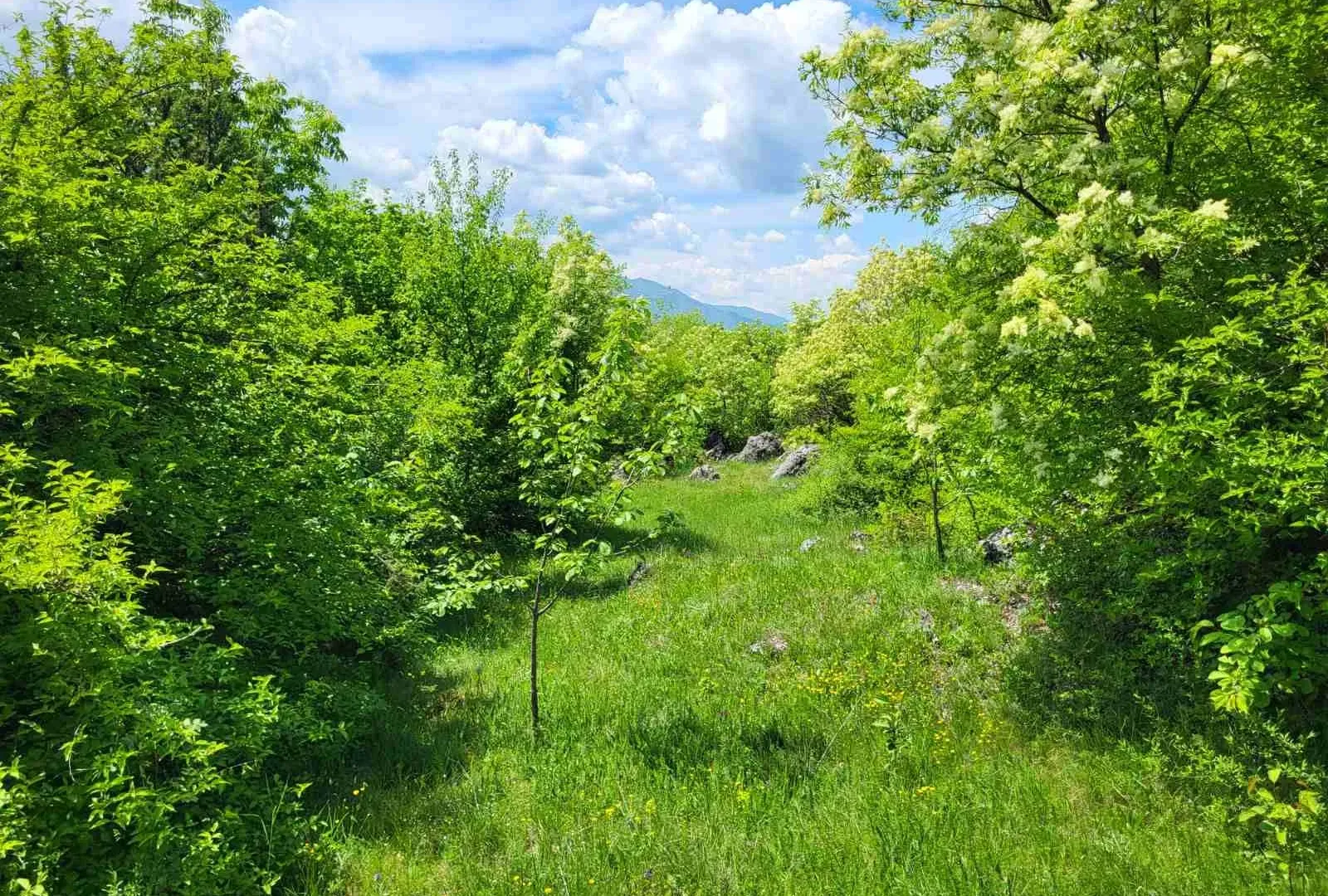 Prodaja, plac, 160000m², Nikšić, Crna Gora