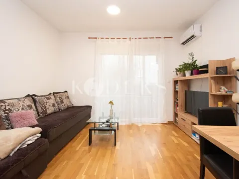 Izdavanje, garsonjera, 29m², Ljubović, Podgorica - image 2