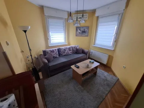 Dnevna soba sa kaučem, stočićem i dva prozora. - image 2