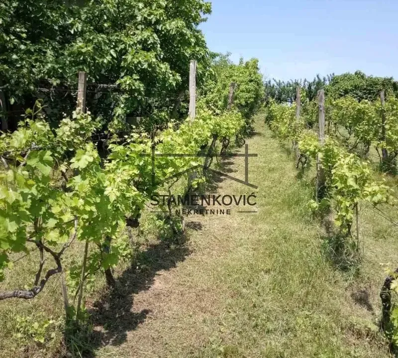 Sale, house, 30m², Berkasovo, Šid