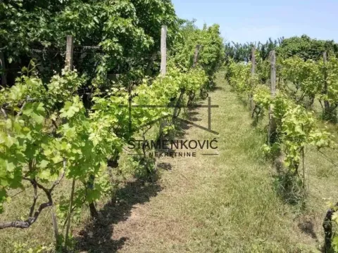 Sale, house, 30m², Berkasovo, Šid