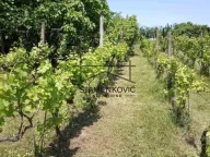 Sale, house, 30m², Berkasovo, Šid - image 1