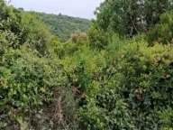 Prodaja, plac, 500m², Hladna Uvala, Bar - image 3