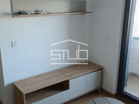Izdavanje, dvosoban stan, 45m², Hala Pionir, Palilula Sve Podlokacije - image 3