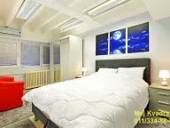 Prodaja, dvosoban stan, 50m², Vračar Sve Podlokacije, Beograd - image 9