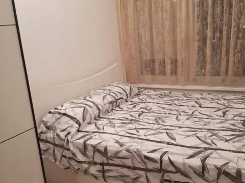 Izdavanje, dvosoban stan, 45m², Jugovićevo, Novi Sad Sve Podlokacije - image 5