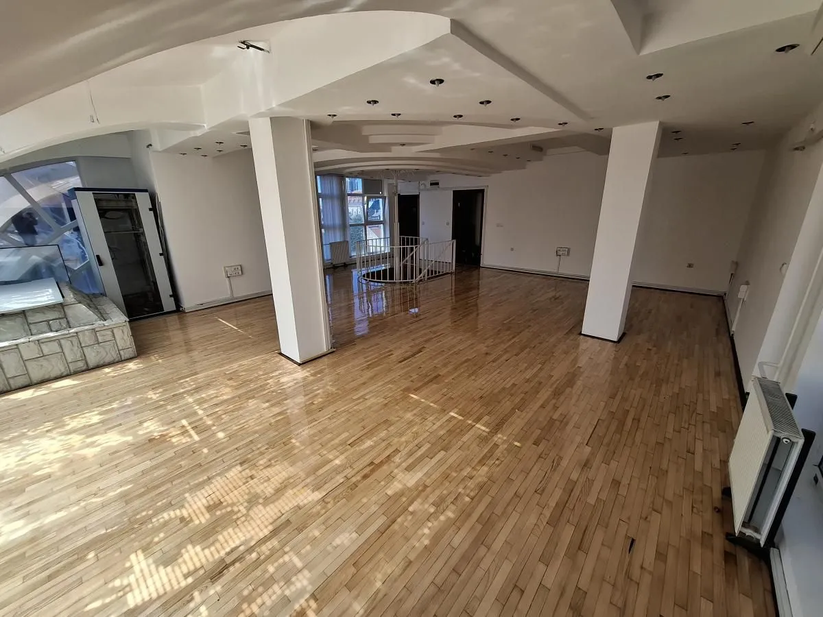 Izdavanje, stan, 220m², Centar, Novi Sad