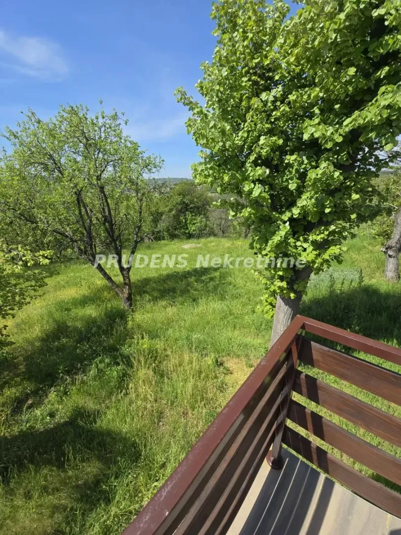 View from the terrace facing the green yard and surrounding nature.