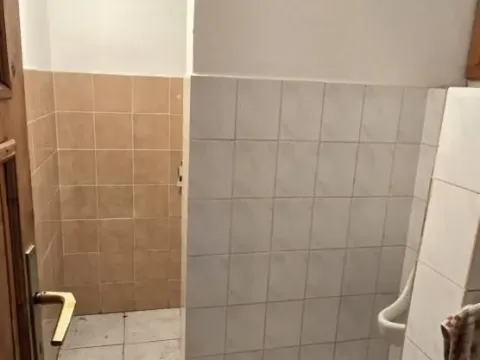 Izdavanje, poslovni prostor, 532m², Srbobran, Novi Sad - image 11