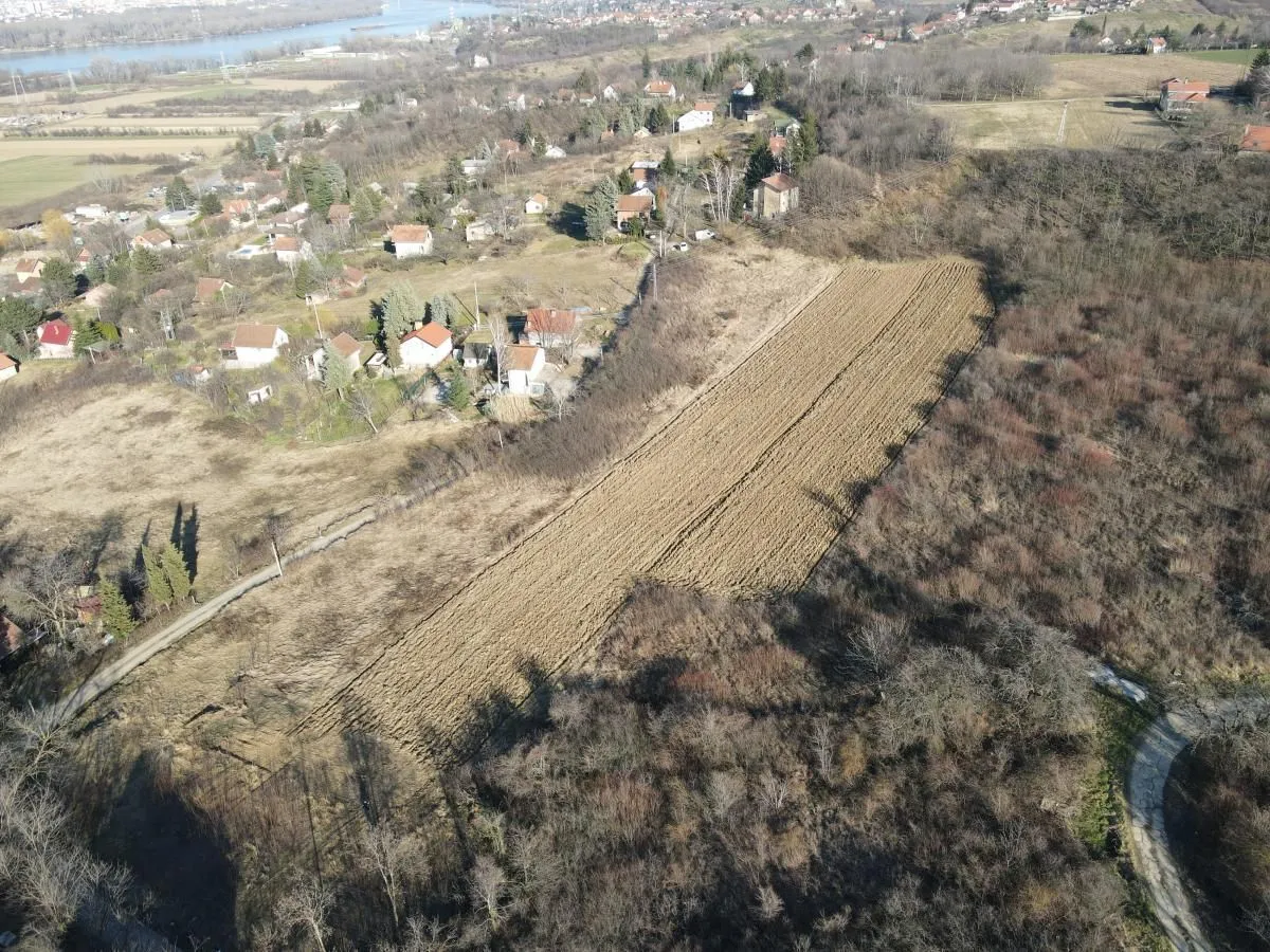 Prodaja, plac, 7627m², Ledinci, Petrovaradin